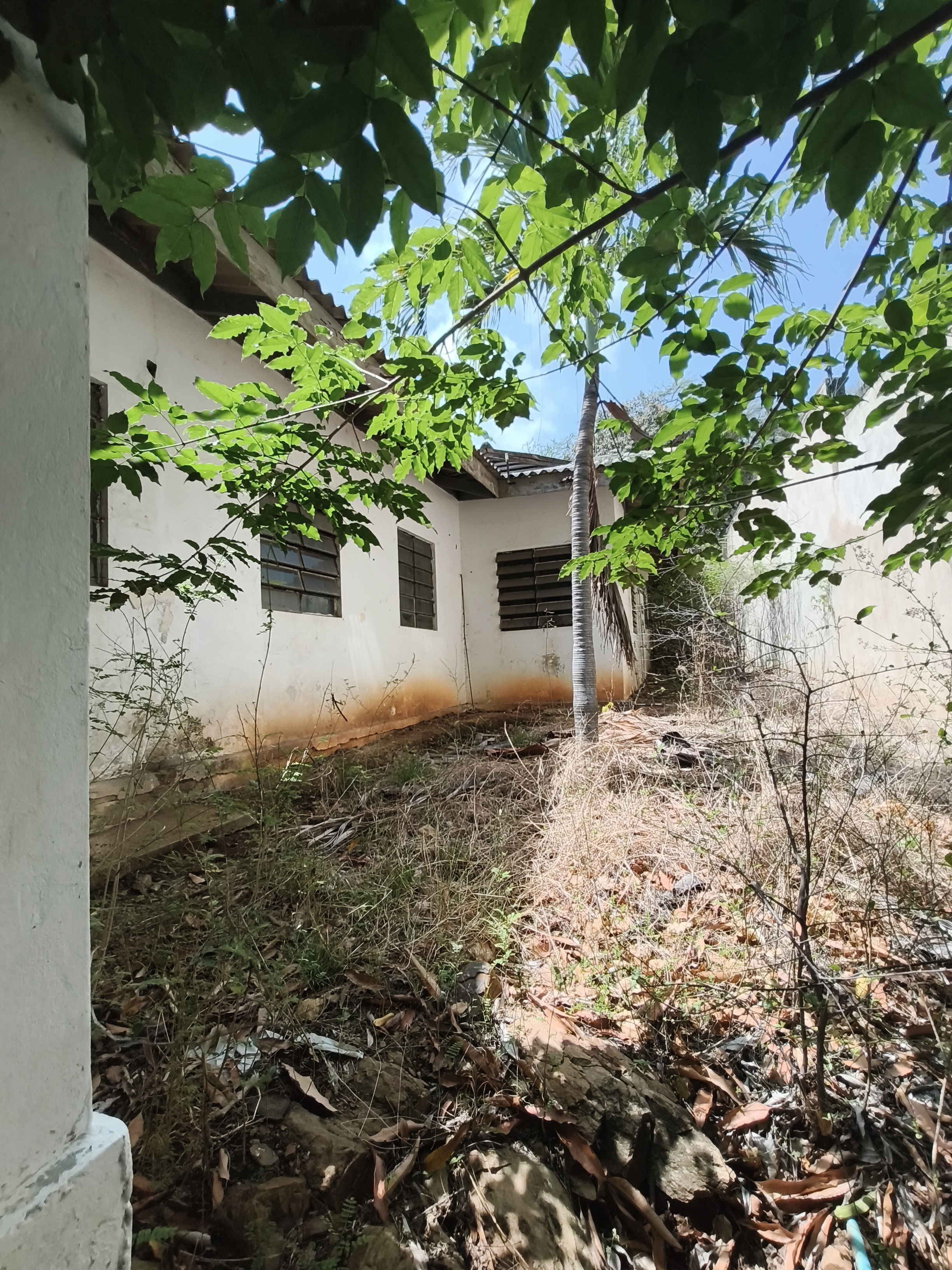 Terreno en Venta con Casa Antigua Sector Las Garzas