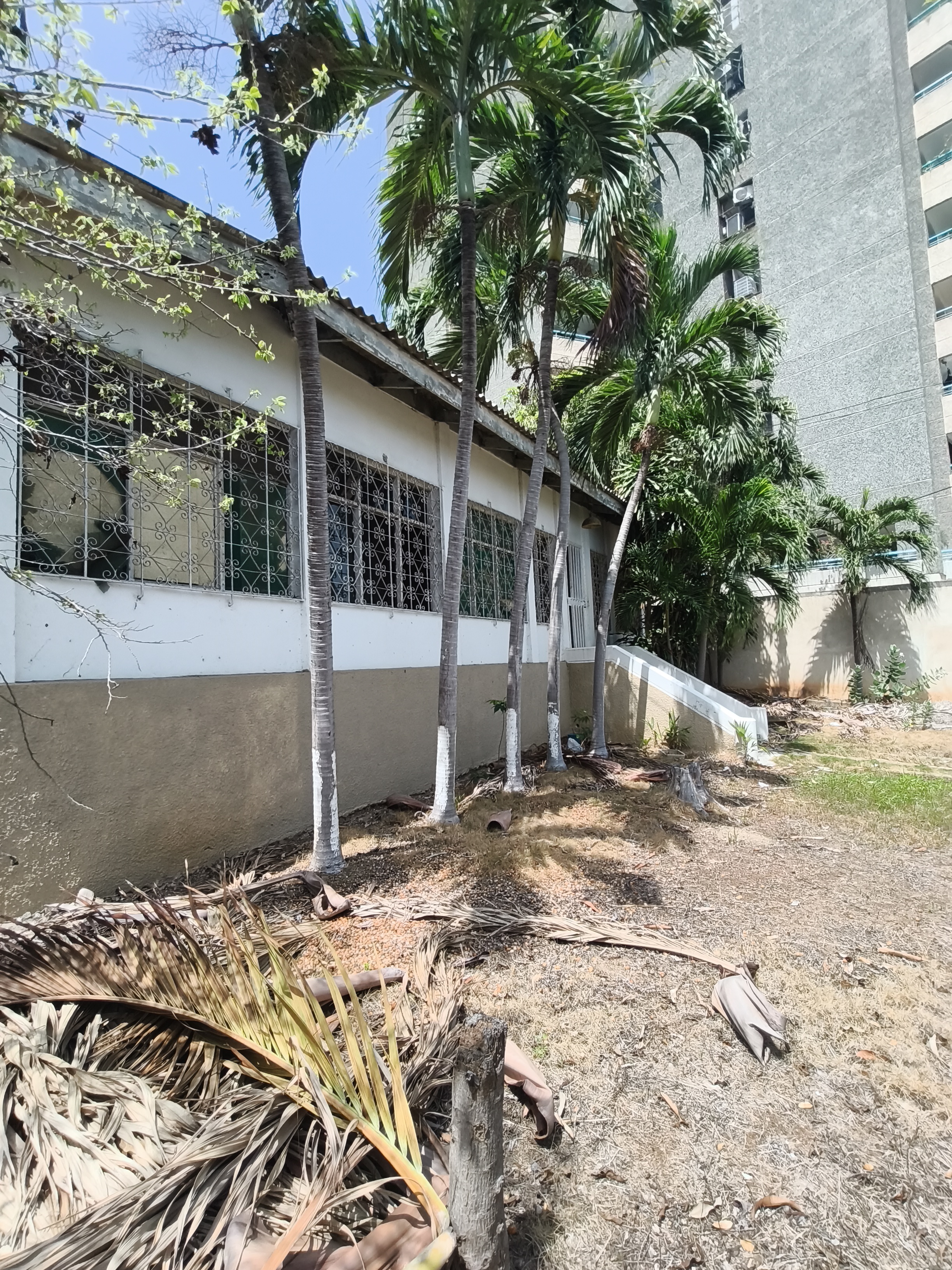 Terreno en Venta con Casa Antigua Sector Las Garzas